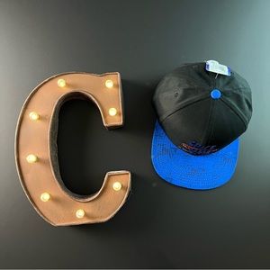 Space jam A New Legacy SnapBack hat
